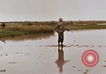 Image of United States 9th Infantry Division South Vietnam, 1967, second 36 stock footage video 65675071836