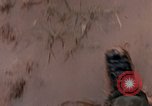 Image of United States 9th Infantry Division South Vietnam, 1967, second 48 stock footage video 65675071836