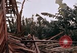 Image of United States 9th Infantry Division South Vietnam, 1967, second 59 stock footage video 65675071836