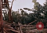 Image of United States 9th Infantry Division South Vietnam, 1967, second 60 stock footage video 65675071836