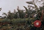 Image of United States 9th Infantry Division South Vietnam, 1967, second 61 stock footage video 65675071836