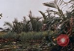 Image of United States 9th Infantry Division South Vietnam, 1967, second 62 stock footage video 65675071836