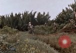 Image of United States 9th Infantry Division South Vietnam, 1967, second 25 stock footage video 65675071837