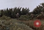 Image of United States 9th Infantry Division South Vietnam, 1967, second 26 stock footage video 65675071837