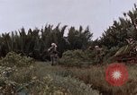 Image of United States 9th Infantry Division South Vietnam, 1967, second 28 stock footage video 65675071837