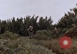 Image of United States 9th Infantry Division South Vietnam, 1967, second 29 stock footage video 65675071837