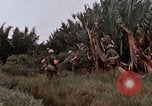 Image of United States 9th Infantry Division South Vietnam, 1967, second 30 stock footage video 65675071837