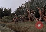 Image of United States 9th Infantry Division South Vietnam, 1967, second 31 stock footage video 65675071837
