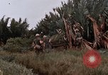 Image of United States 9th Infantry Division South Vietnam, 1967, second 32 stock footage video 65675071837