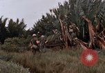 Image of United States 9th Infantry Division South Vietnam, 1967, second 33 stock footage video 65675071837