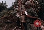 Image of United States 9th Infantry Division South Vietnam, 1967, second 40 stock footage video 65675071837