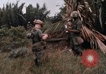 Image of United States 9th Infantry Division South Vietnam, 1967, second 45 stock footage video 65675071837