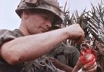 Image of United States 9th Infantry Division South Vietnam, 1967, second 54 stock footage video 65675071837
