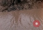 Image of United States 9th Infantry Division South Vietnam, 1967, second 14 stock footage video 65675071838