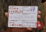 Image of United States 9th Infantry Division South Vietnam, 1967, second 3 stock footage video 65675071839