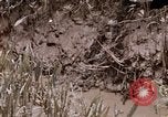 Image of United States 9th Infantry Division South Vietnam, 1967, second 6 stock footage video 65675071839