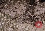 Image of United States 9th Infantry Division South Vietnam, 1967, second 9 stock footage video 65675071839
