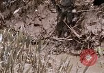 Image of United States 9th Infantry Division South Vietnam, 1967, second 12 stock footage video 65675071839