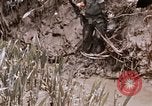 Image of United States 9th Infantry Division South Vietnam, 1967, second 13 stock footage video 65675071839