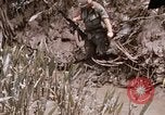 Image of United States 9th Infantry Division South Vietnam, 1967, second 15 stock footage video 65675071839