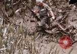 Image of United States 9th Infantry Division South Vietnam, 1967, second 16 stock footage video 65675071839