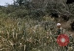 Image of United States 9th Infantry Division South Vietnam, 1967, second 23 stock footage video 65675071839