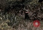Image of United States 9th Infantry Division South Vietnam, 1967, second 24 stock footage video 65675071839