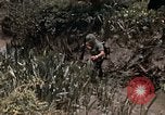 Image of United States 9th Infantry Division South Vietnam, 1967, second 25 stock footage video 65675071839