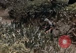 Image of United States 9th Infantry Division South Vietnam, 1967, second 26 stock footage video 65675071839