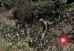 Image of United States 9th Infantry Division South Vietnam, 1967, second 27 stock footage video 65675071839