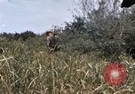 Image of United States 9th Infantry Division South Vietnam, 1967, second 29 stock footage video 65675071839