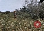 Image of United States 9th Infantry Division South Vietnam, 1967, second 30 stock footage video 65675071839