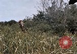 Image of United States 9th Infantry Division South Vietnam, 1967, second 31 stock footage video 65675071839