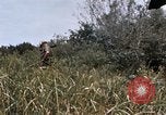 Image of United States 9th Infantry Division South Vietnam, 1967, second 32 stock footage video 65675071839
