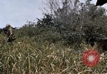 Image of United States 9th Infantry Division South Vietnam, 1967, second 34 stock footage video 65675071839