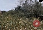 Image of United States 9th Infantry Division South Vietnam, 1967, second 35 stock footage video 65675071839