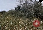 Image of United States 9th Infantry Division South Vietnam, 1967, second 36 stock footage video 65675071839