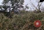 Image of United States 9th Infantry Division South Vietnam, 1967, second 40 stock footage video 65675071839
