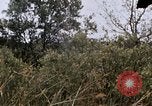 Image of United States 9th Infantry Division South Vietnam, 1967, second 41 stock footage video 65675071839