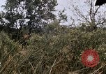 Image of United States 9th Infantry Division South Vietnam, 1967, second 42 stock footage video 65675071839