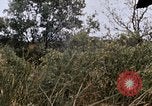 Image of United States 9th Infantry Division South Vietnam, 1967, second 43 stock footage video 65675071839