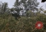 Image of United States 9th Infantry Division South Vietnam, 1967, second 45 stock footage video 65675071839