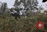 Image of United States 9th Infantry Division South Vietnam, 1967, second 46 stock footage video 65675071839