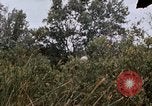 Image of United States 9th Infantry Division South Vietnam, 1967, second 47 stock footage video 65675071839