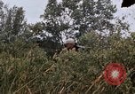 Image of United States 9th Infantry Division South Vietnam, 1967, second 48 stock footage video 65675071839