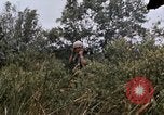 Image of United States 9th Infantry Division South Vietnam, 1967, second 49 stock footage video 65675071839