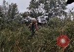 Image of United States 9th Infantry Division South Vietnam, 1967, second 50 stock footage video 65675071839