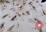 Image of United States 9th Infantry Division South Vietnam, 1967, second 58 stock footage video 65675071839