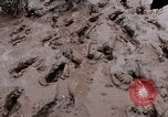 Image of United States 9th Infantry Division South Vietnam, 1967, second 59 stock footage video 65675071839