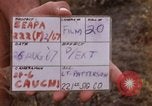 Image of United States 9th Infantry Division South Vietnam, 1967, second 5 stock footage video 65675071840
